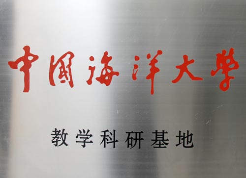 曾道真人免费资料大全