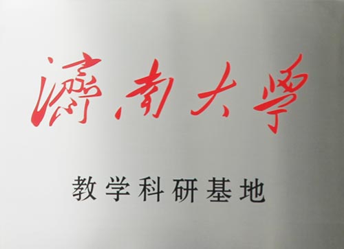 曾道真人免费资料大全