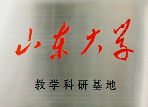 曾道真人免费资料大全