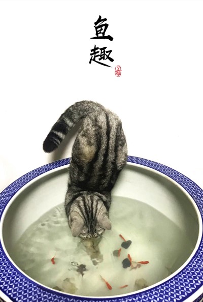 曾道真人免费资料大全