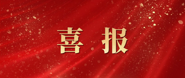 曾道真人免费资料大全