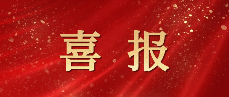 曾道真人免费资料大全
