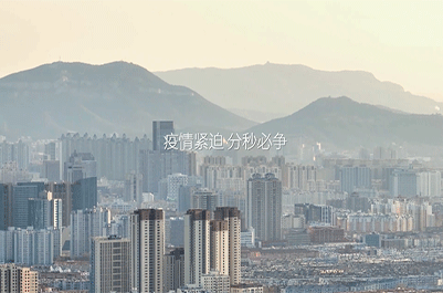 曾道真人免费资料大全